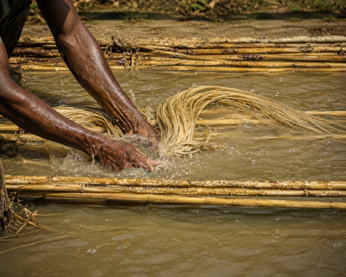 Fibre Processing